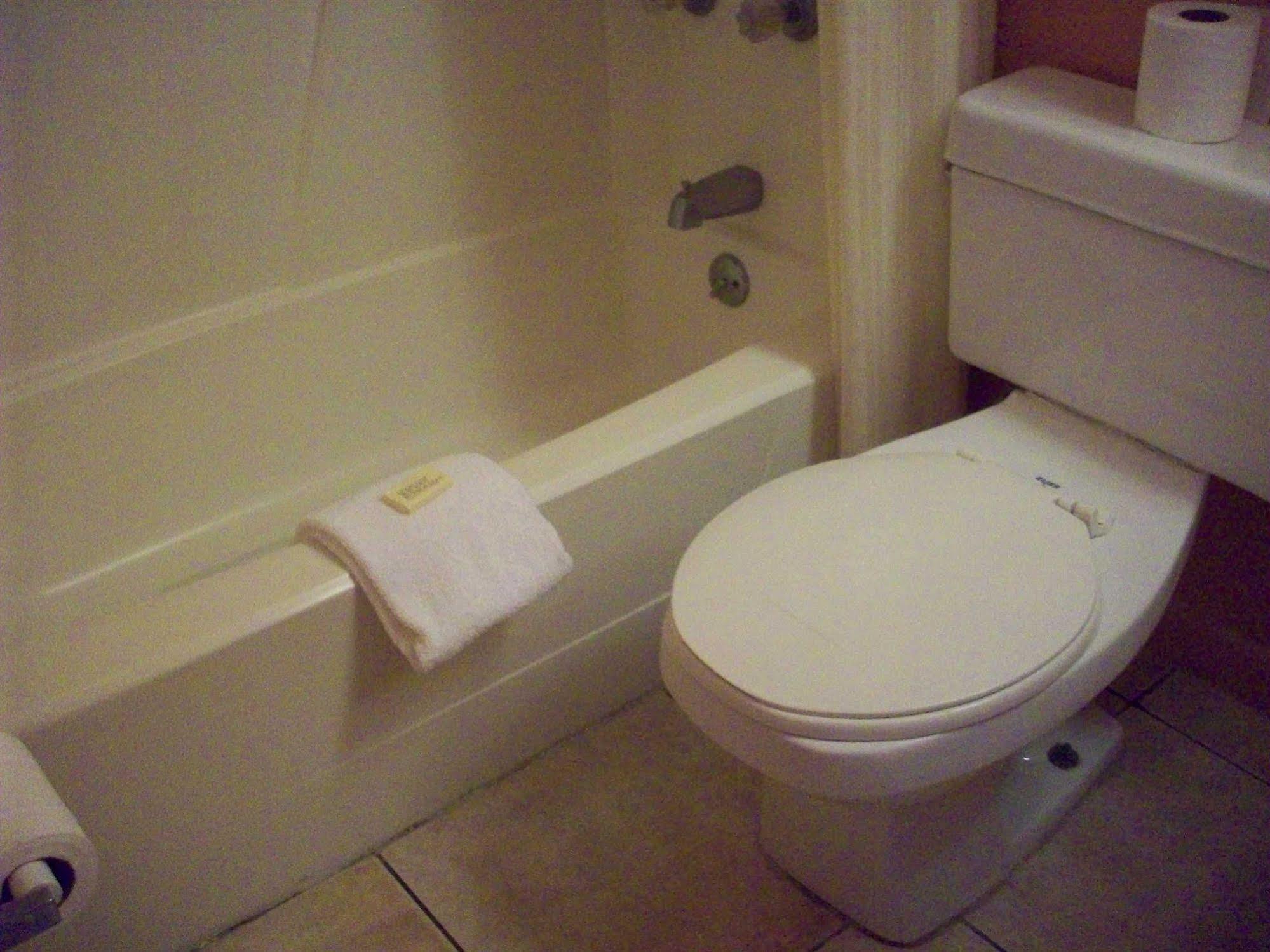 All-suite